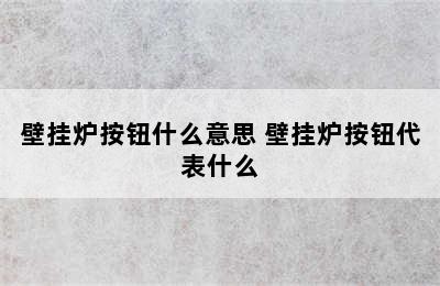 壁挂炉按钮什么意思 壁挂炉按钮代表什么